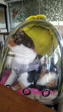 Conjunto de arnés y correa para perro, chaleco reflectante para caminar, arnés para gato, Chihuahua, Pug, malla de nailon, mediano y pequeño