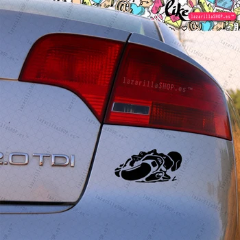 

MOTERO CURVAS DRCHA PEGATINA MOTO CASCO COCHE VINILO MOTERO MOTERA BIKE RAFAGAS PEGATINA MOTERO ENLATADO MOTERA ENLATADA RACING