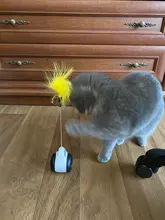 Vaso Swing juguetes para gatos gato interactivo equilibrio coche gato juguete de persecución con Catnip para mascotas productos para Dropshipping. Exclusivo.