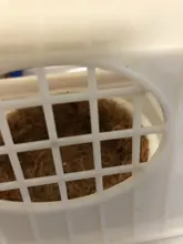 Parrot Cage Nest Removable Pet-Birds Plastic White 1pcs High-Quality