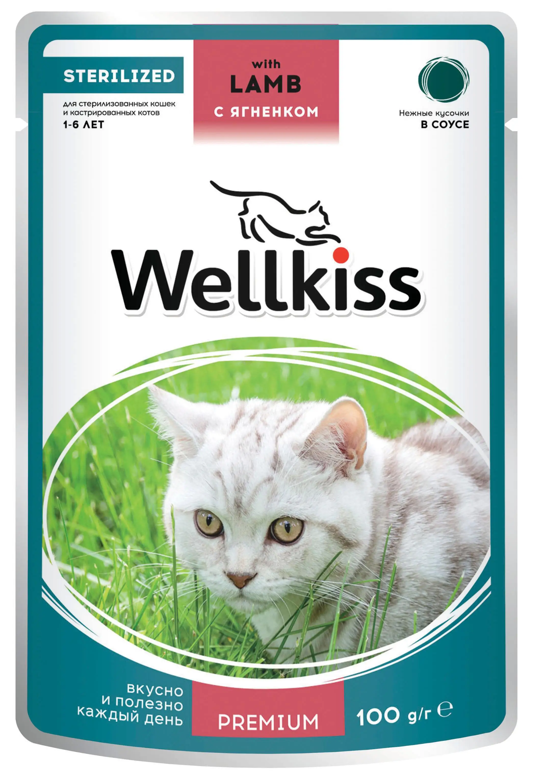 Корм для стерилизованных кошек паучи купить. Wellkiss корм для кошек влажный. Wellkiss пауч 100г. Wellkiss Sterilized корм для стерилизованных кошек. Корм wellkiss для стерилизованных кошек индейка.
