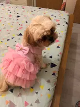 Dress Sling Puppy-Costume Pet-Dog Lace Small Dog Wedding for Party Birthday Bowknot