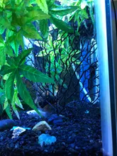 Underwater Artificial Coral Plant Ornament Aquatic Plant for Aquarium Fish Tank 