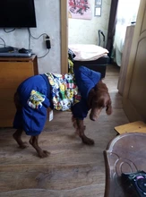 HOOPET Large Coat Down-Jacket Winter New Warm Autumn for Dogs Dog-Prints Overalls Leisure-Style