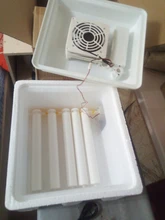 Incubadora de huevos de 220V, incubadora de codornices para aves de corral, herramientas de incubación automática