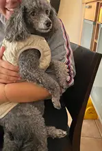 Dog Winter Bulldog-Coat Chihuahu Small French Outfit Puppy Medium Warm 