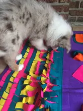 Sniffing Mat Play-Toys Feeding-Pad Nosework-Puzzle Food-Training-Blanket Pet-Dog Dogs