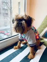 Jacket Costume Coat Bulldog-Clothes Small Dog Pug French Winter Pet-Dog Warm Cute 