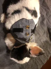 Arnés pequeño de conejo para mascota, chaleco transpirable ajustable con correa para el pecho, para exteriores, con cuerda de tirar, S/M/L, novedad de 2020