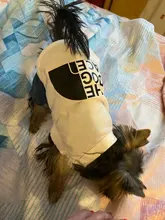 Chaleco para perros, ropa de verano, ropa para cachorros, disfraz de bulldog Francés schnauzer, Camiseta de algodón