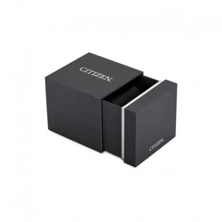 CITIZEN Watch Men Mechanical NP3021 54A|Quartz Watches| - AliExpress