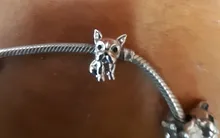 Plata de Ley 925 de un perro historia caniche Cachorro Bulldog Francés perlas encanto Fit BISAER encantos de plata 925 Pulsera Original