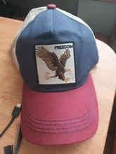 Gorra de béisbol con bordado de animales para hombre y mujer, gorro de béisbol con bordado de animales, estilo camionero, Hip Hop, unisex