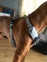 Pet-Harness Truelove Walk Padded Seat-Belt Handle Reflective-Dog Adjustable Small Soft