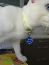 Tag-Pendant-Collar Name-Plate-Accessories Cats Custom Kitten Round Pink Engraved Cat-Id-Tag