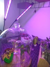 LED Grow Light USB Phyto Lamp Full Spectrum Grow Tent Complete Kit Phytolamp for Plants