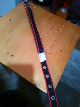 Leash Rope Pet-Collar Wholesale Lined Pet-Supplies Colorful New TECHOME Polypropylene