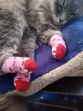 Calcetines de algodón suave con dibujos animados para mascotas, calcetín antideslizante, cálido, para perro, oso de peluche, suministros para mascotas gatos, 1set/4 Uds.