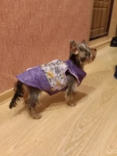 Puppy Vest Coat Clothing Jacket Dogs Chihuahua Waterproof Large Winter Medium Pet-Dog