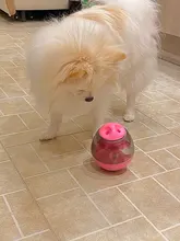 Pets-Chew-Toys Interactive-Supplies Food-Ball Molar-Teeth-Cleaner Dog-Leaking Tumbler