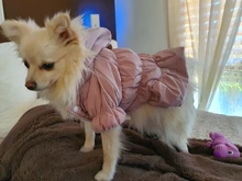 Hoodie Coat Outfit Warm-Dress Girl Dog Winter Princess New Floral 6-Sizes Bubble-Skirt