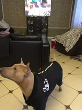 HOOPET Large Coat Down-Jacket Winter New Warm Autumn for Dogs Dog-Prints Overalls Leisure-Style