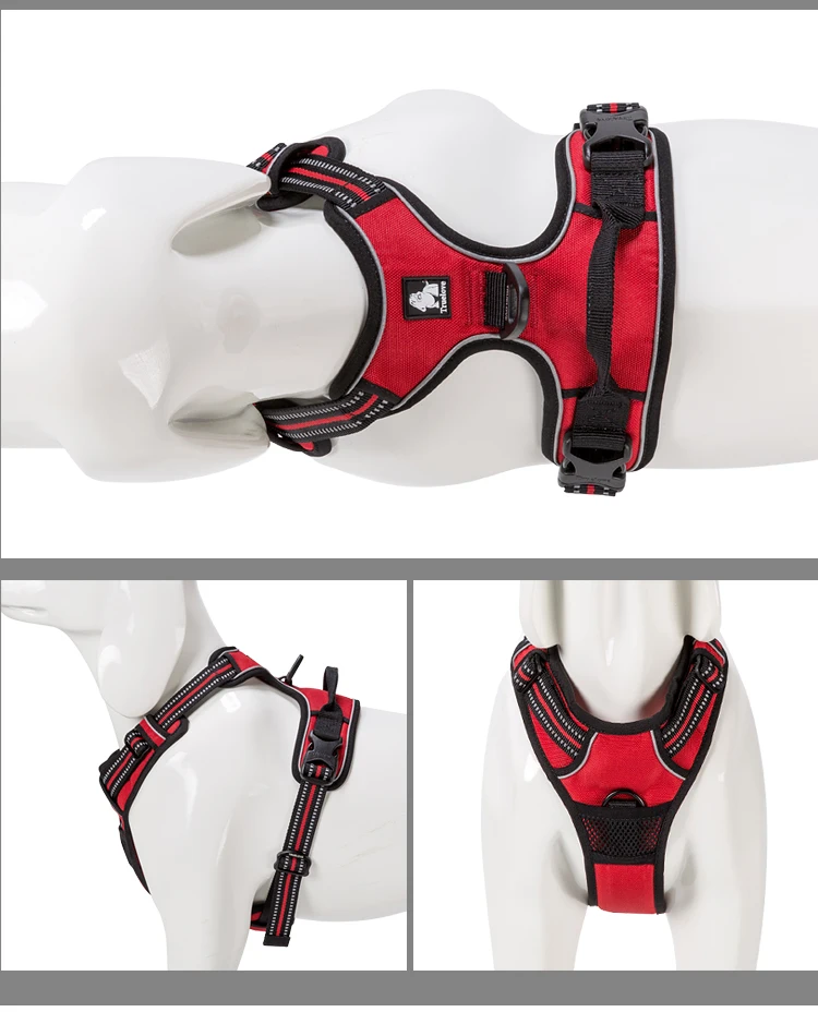 TLH5651-red (3)