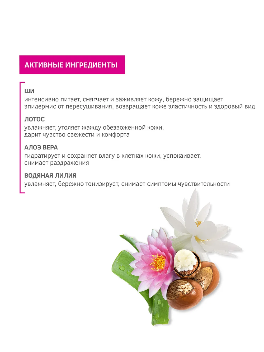 ZN4034 Ultra-rich body butter _Gardens of Babylon_ - intense hydration and aromatherapy 200 ml 5