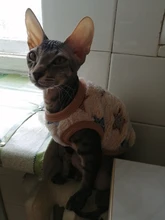 Cat Coats Jacket Dog-Costumes-Clothes Pet-Supplies Small Dogs Fleece Cartoon Autumn/winter