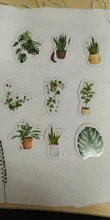 Mohamm 45 Uds Vida Verde decorativo libros de pegatinas Scrapbooking notas DIY de papel pegatinas escamas papelería de oficina accesorios de Su arte