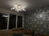 Изображение товара 5