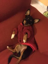 Ropa para perros de lana y Chihuahua, Ropa de invierno para mascotas pequeñas y medianas