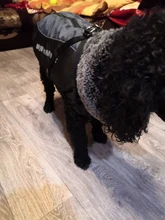 Vest Jacket Dogs-Harness Dog Coat Reflective Waterproof Outfit Large Thick with Fur-Collar