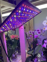 Phyto Lamp Light-Bulb Uk-Plug Grow-Tent Plant Full-Spectrum-Lamp Greenhouses Indoor 2000w Led