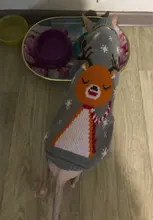 Cute Cat Sweater Costume Winter Warm Pet Clothes Cat Clothing for Cats Katten Kedi Giyim