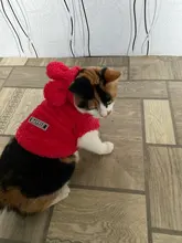 Ropa de Gato caliente para mascotas, abrigo, chaqueta para perros pequeños, medianos, gatos, Chihuahua, ropa de Yorkshire, disfraz rosa, S-2XL