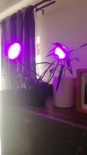 Grow-Light Lamps Timer Flowers Desktop-Clip LED Phyto Full-Spectrum For Plants DC5V USB