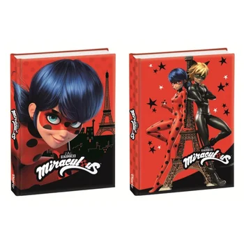 

Diary Miraculous LadyBug 12 months (Assorted)