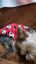La mascota de abrigos para gato chaqueta de lana caliente, perro ropa para perros pequeños perros Chihuahua ropa de Yorkshire ropa de abrigo para perros