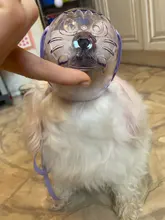 Bozal transpirable Para perros y gatos, mascarilla antimordeduras, máscara Para la boca Para gatitos y mascotas, bozal Para limpieza de baños de gatos, herramienta Para Gat