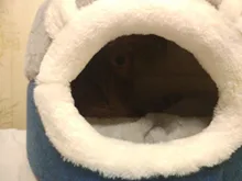 Bed Kennel Cat-House Hoopet Cave Home Dog-Puppy Warm for Teddy