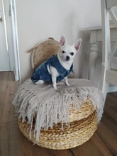 Chaleco vaquero para perro, ropa vaquera para perro, chaqueta, ropa informal para perro salchicha, Bichon, Shih, Tzu, Pitbull, 2020