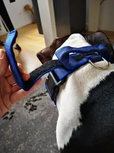 Necklace Name-Tags Dog-Collar KOMMILIFE Personalized For Dogs Nylon with Explosion-Proof