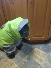 Mono impermeable para perro mascota, ropa impermeable para exteriores, mono con capucha para perros pequeños y grandes, capa impermeable, Bulldog francés