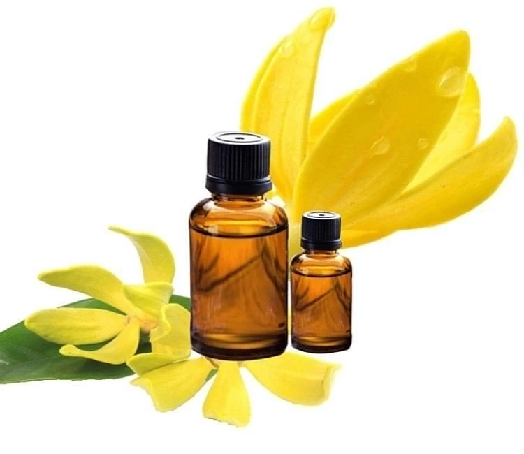 эфирное масло иланг-иланг. эфирное масло иланг-иланг. масло эфирное олеос (oleos) анис звездчатый 10 мл. 5мл эфирное масло иланг-иланг. масло иланг иланг.