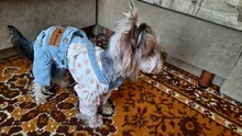 Jeans Clothing Jacket Coat Dog-Costume Puppy Dogs Small Denim Pet Medium for Chihuahua