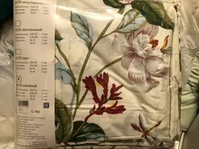 Breakaway Cat Collar Cute Bow Vests Cat Harness and Leash Cat Product Cat Accessories