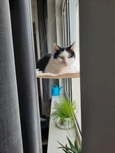 Pet Hammock Bearing Beds-Supplies Seat Hanging-Beds Detachable Pet-Shelf Window-Mount