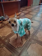 Pijamas de perros para otoño e invierno, Mono para perros pequeños, jerseys Shih Tzu Yorkshire, ropa de lana suave para cachorros y gatos