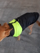 Ropas impermeables para perro para perros pequeños de invierno cálido abrigo para perros ropa de perro grande cachorro Pug chaleco Bulldog francés chaqueta para Chihuahua